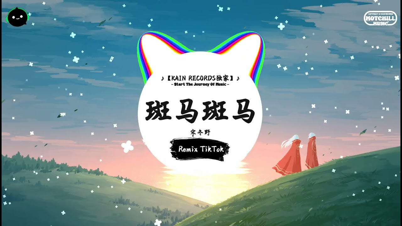斑马斑马 (抖音DJ版) - 宋冬野「斑马，斑马 你不要睡着啦，再给我看看你受伤的尾巴。」♪ || 流行歌曲 | 抖音歌曲 | 抖音热门歌曲 | TikTok & Douyin ♪