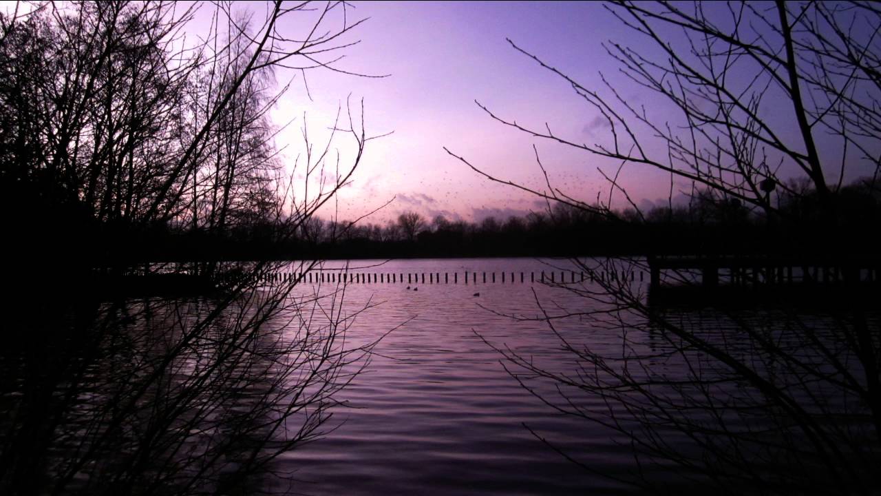 Trixcis &ndash; Quiet Morning &ndash; Soft, Beautiful Instrumental Piano Music