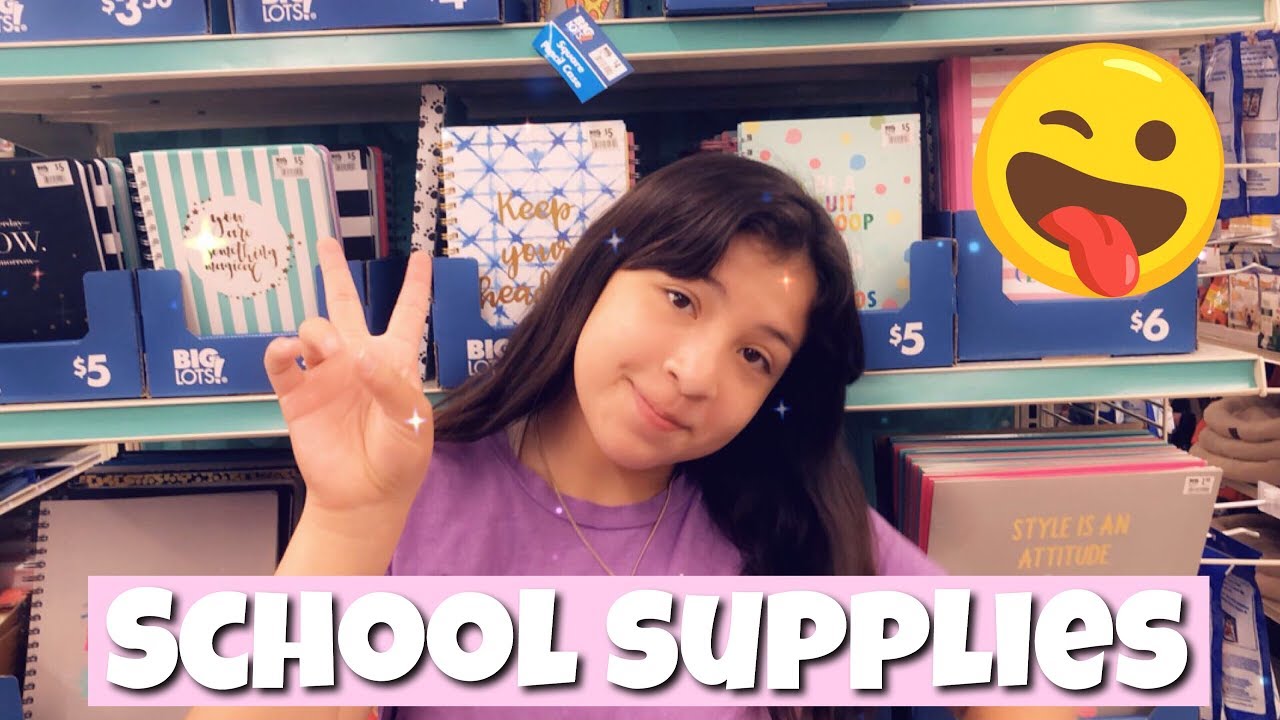 BACK TO SCHOOL SHOPPING AT BIG LOTS