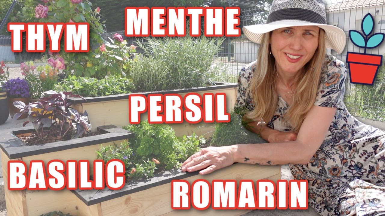 🌿 Planter un carré d'aromatiques : spécial petit espace et tout type de sol ! 👩🏼‍🌾