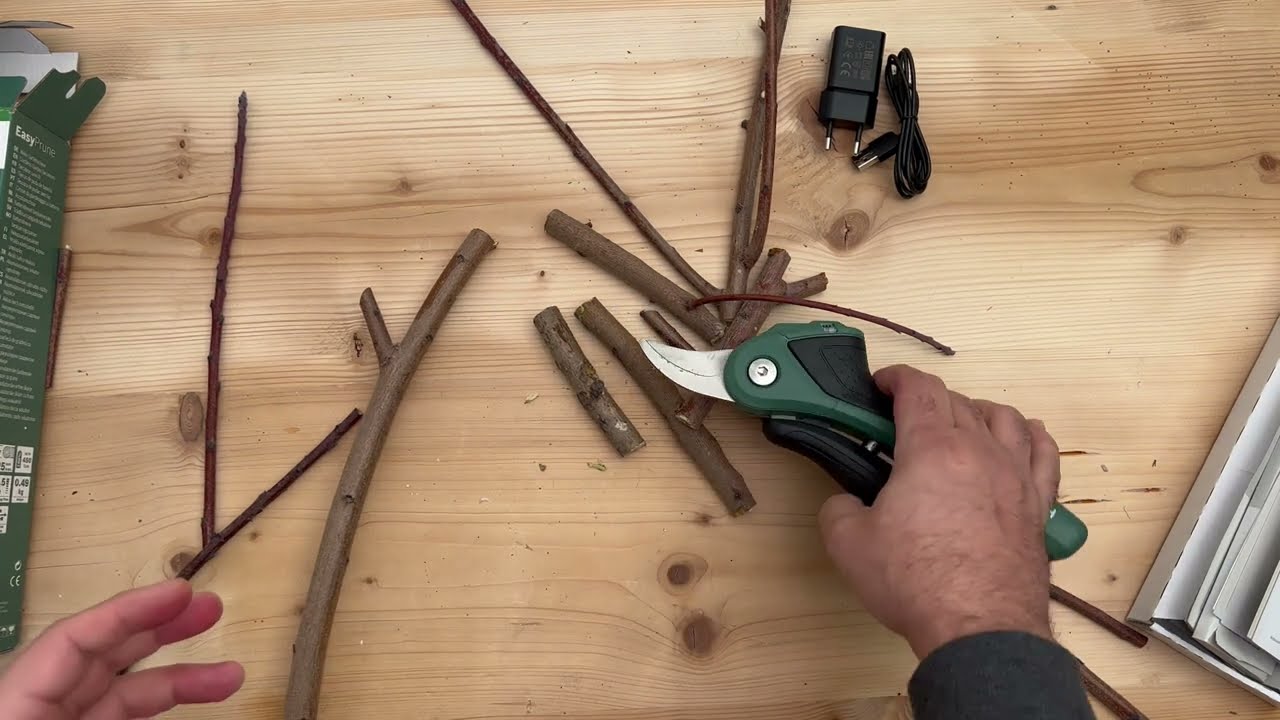 Bosch EasyPrune Foarfecă de Grădină cu Acumulator