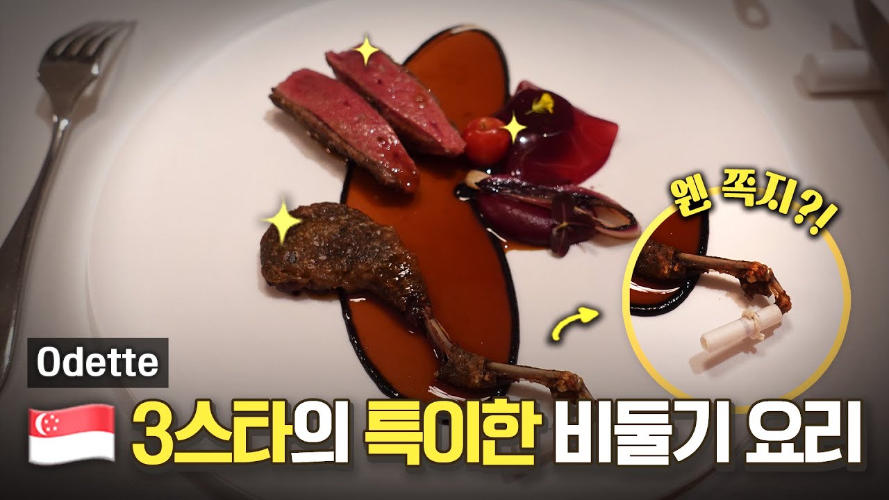 [EN] 조금 무서운 싱가포르 비둘기 맛의 반전?! (Feat. 둘기의 마지막 쪽지💌)ㅣOdette