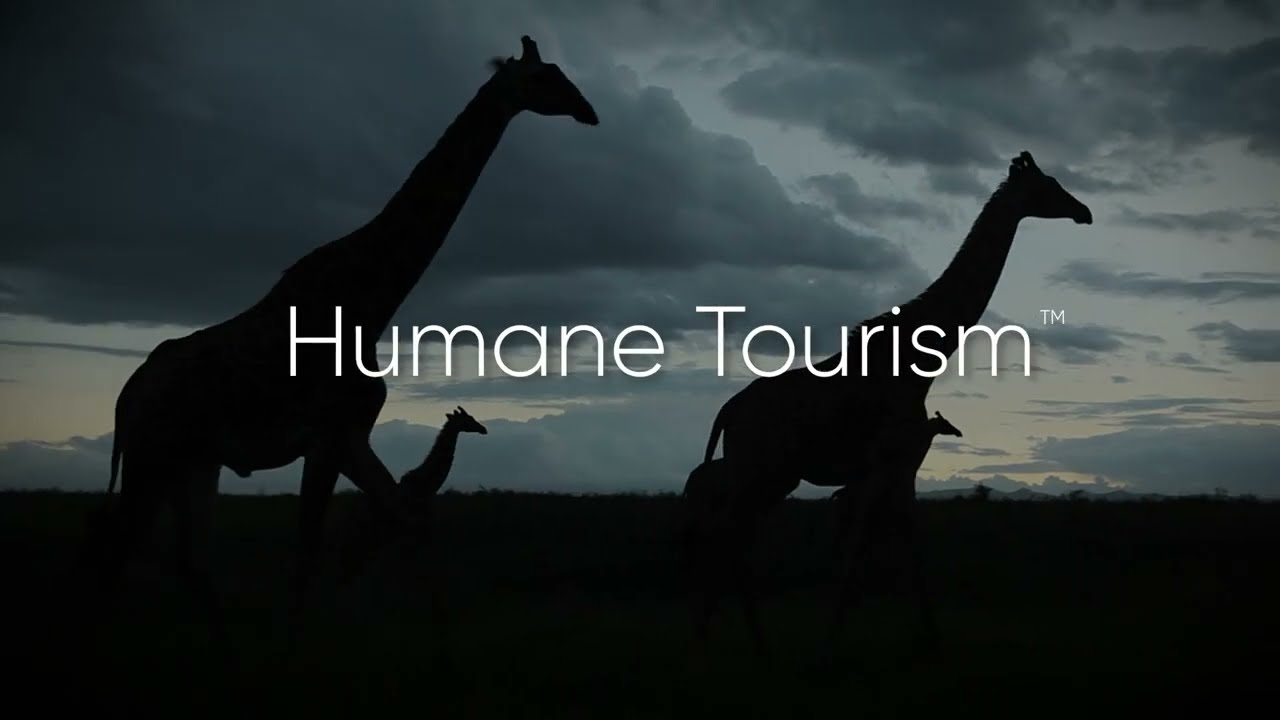Introducing the Humane Tourism&trade; Certification Program | Global Humane