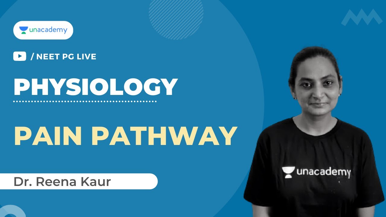 NEET PG 2021 | Pain Pathway | Physiology | Unacademy Live NEET PG by Dr. Reena kaur