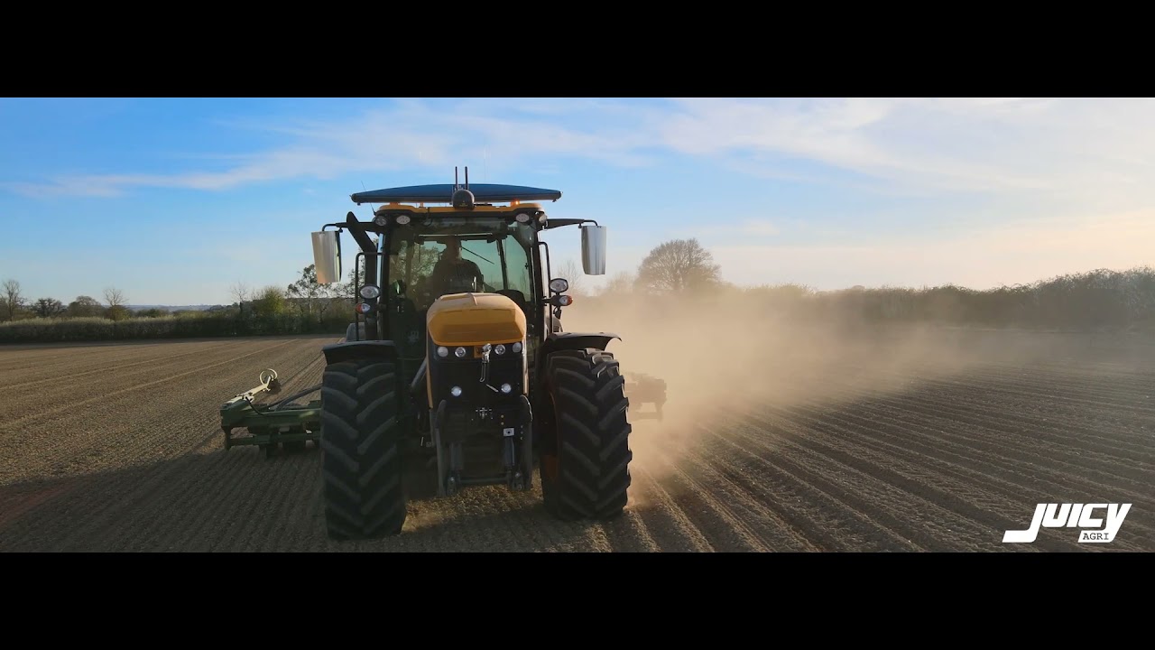 JCB 4220 drilling maize