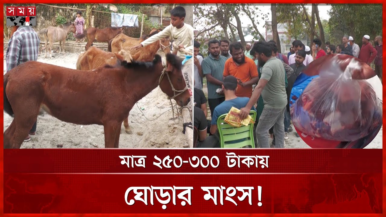 Horse meat business booming in Gazipur | Gazipur News | Horse Meat | Somoy TV