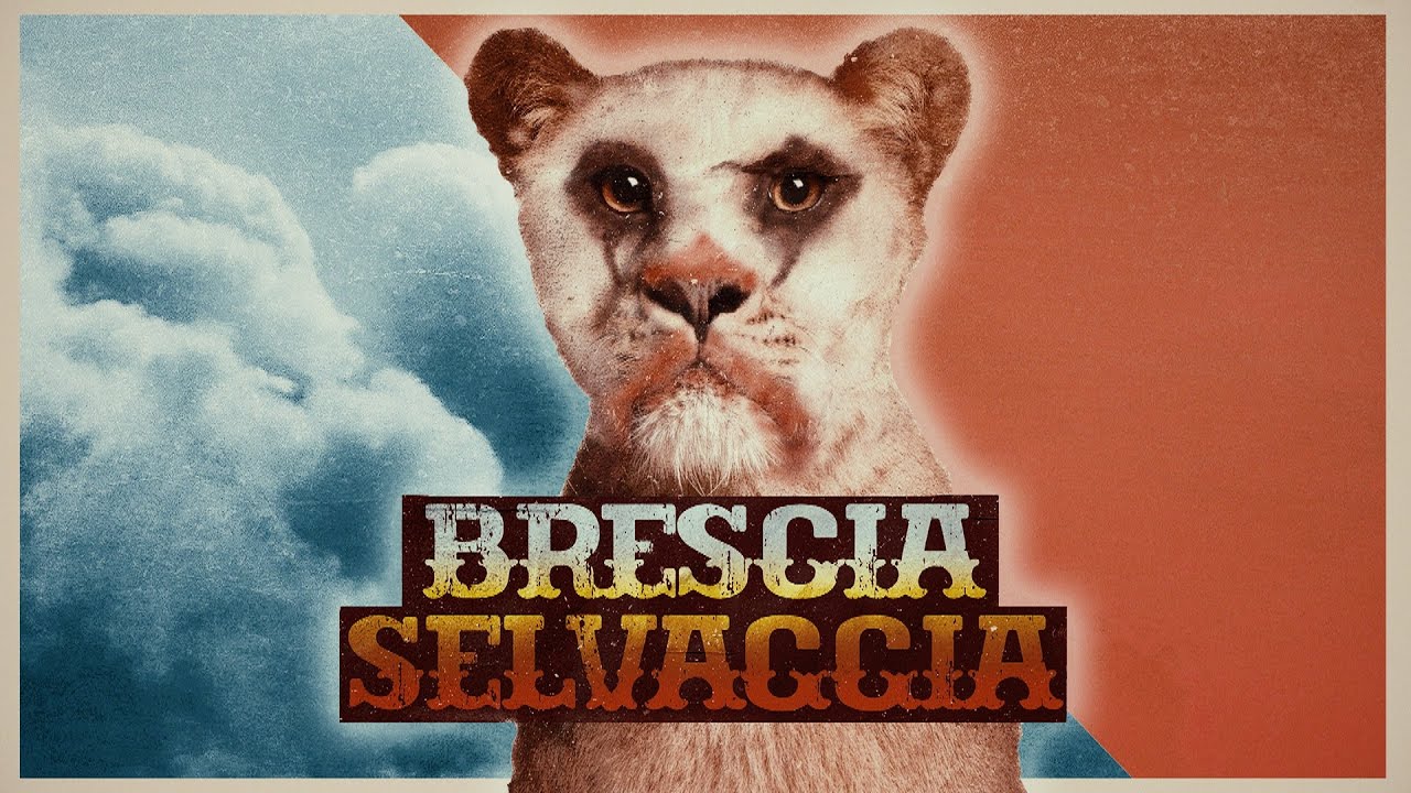 BRESCIA SELVAGGIA - Un Docufilm sullo Zoo del Castello di Brescia!