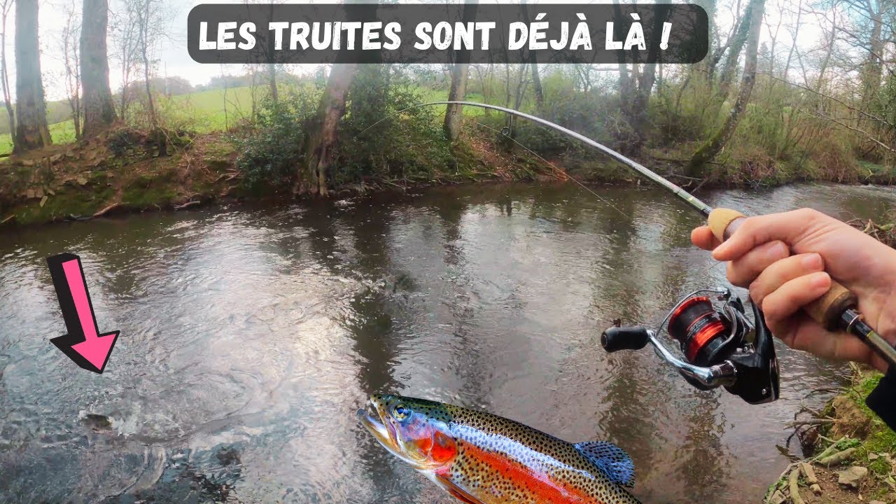 LES TRUITES SONT DÉJÀ LÀ - PÊCHE AU BOUCHON