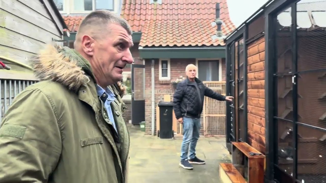 Renesans Martina van Zon i rewolucja na gołębnikach!