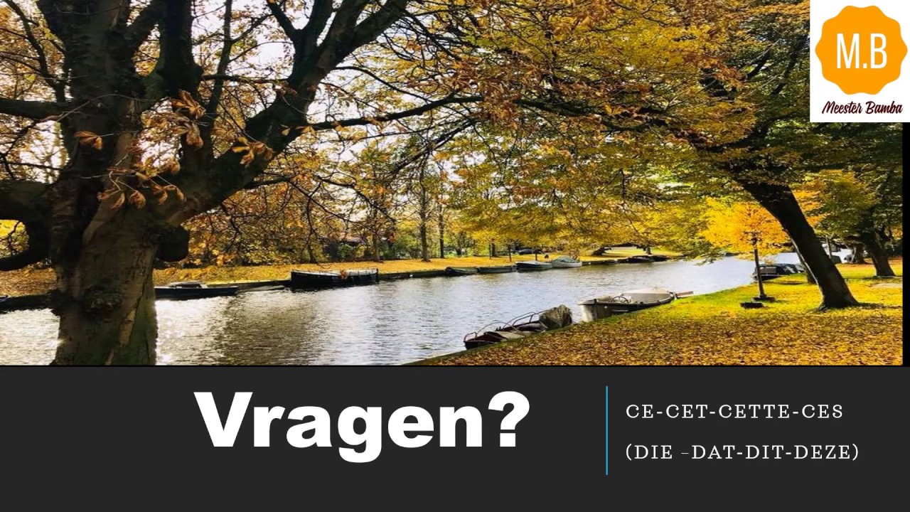 Franse Aanwijzend voornaamwoorden