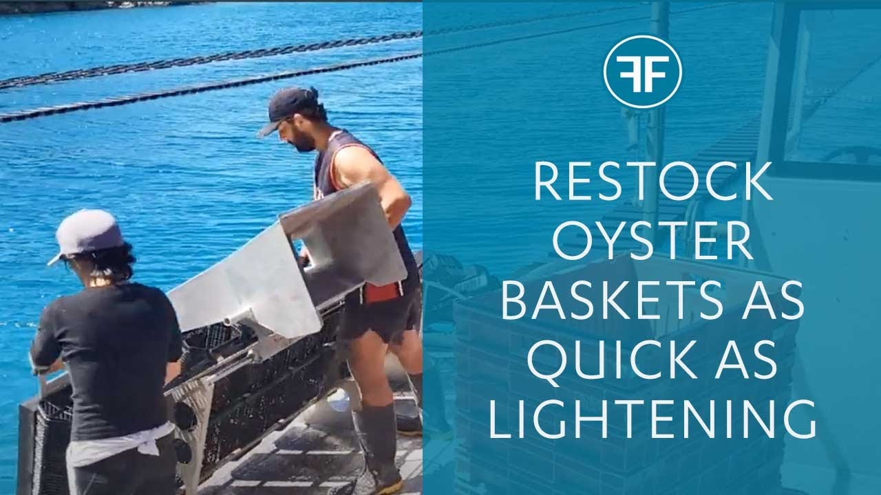 FlipFarm- Restocking baskets