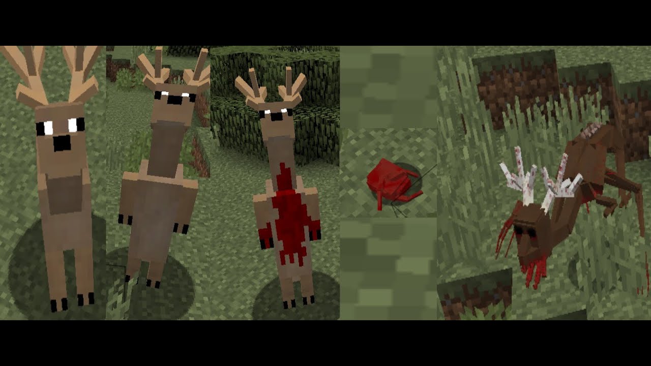 Weird Deer Part 2