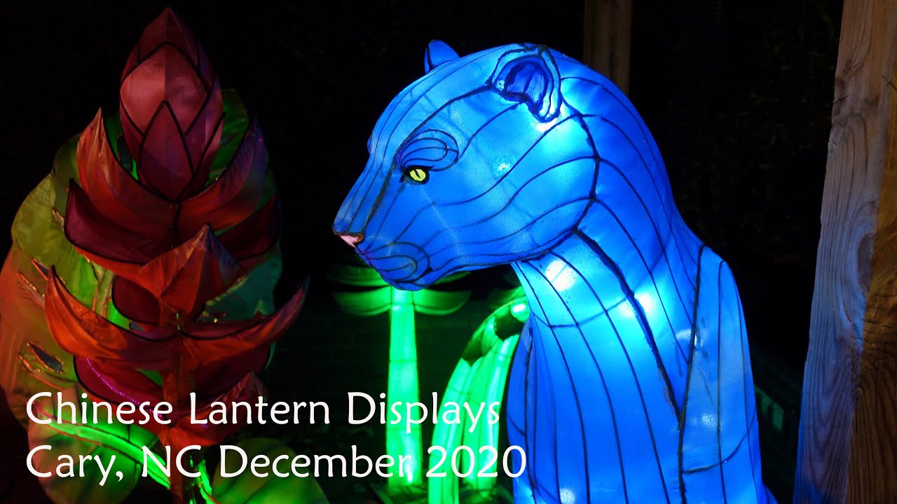 Chinese Lantern  and Christmas Displays - Cary, NC December 2020