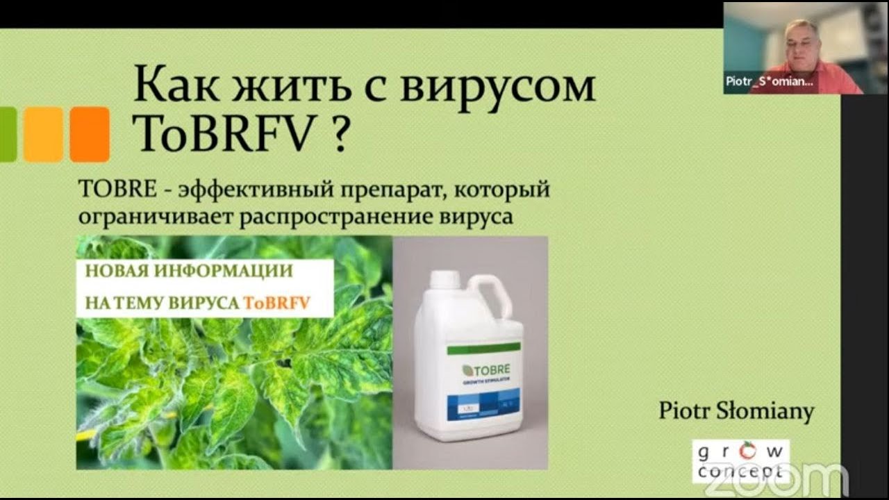 Контроль Вируса коричневой морщинистости плодов томата (ToBRFV)
