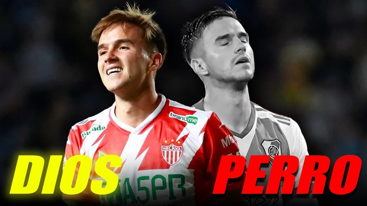 BURROS EN ARGENTINA QUE SE VOLVIERON CRACKS EN MÉXICO
