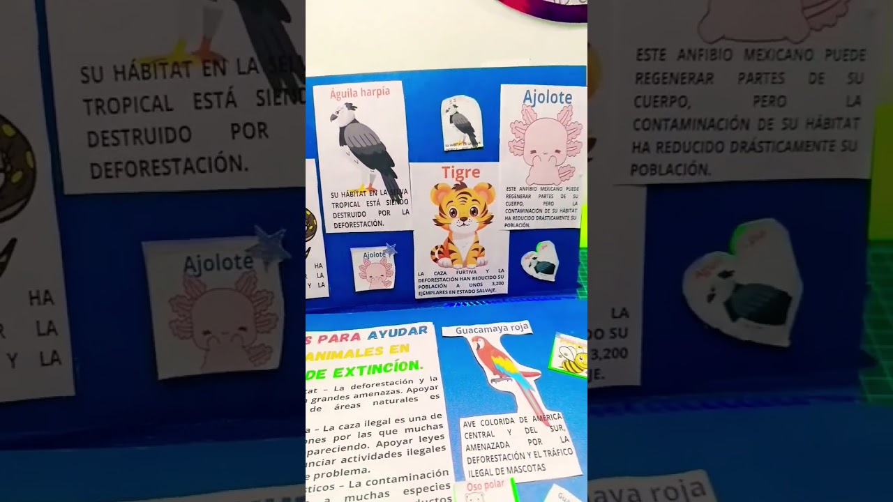 Maleta viajera #regresoaclasesmaletaviajera #diy #hechoamano #manualidades