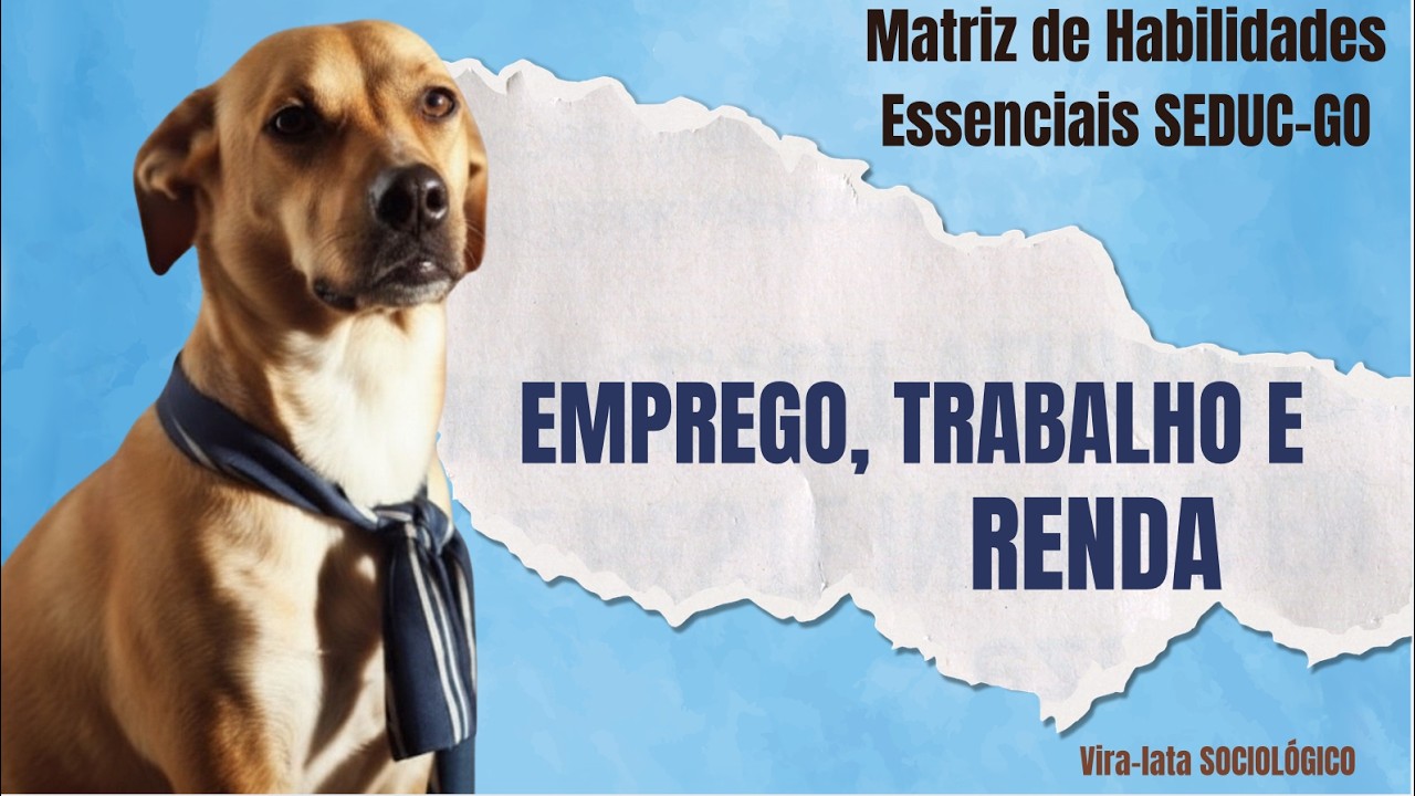 ENTENDA AS DIFERENÇAS SOCIOLÓGICAS ENTRE: Emprego, Trabalho e Renda