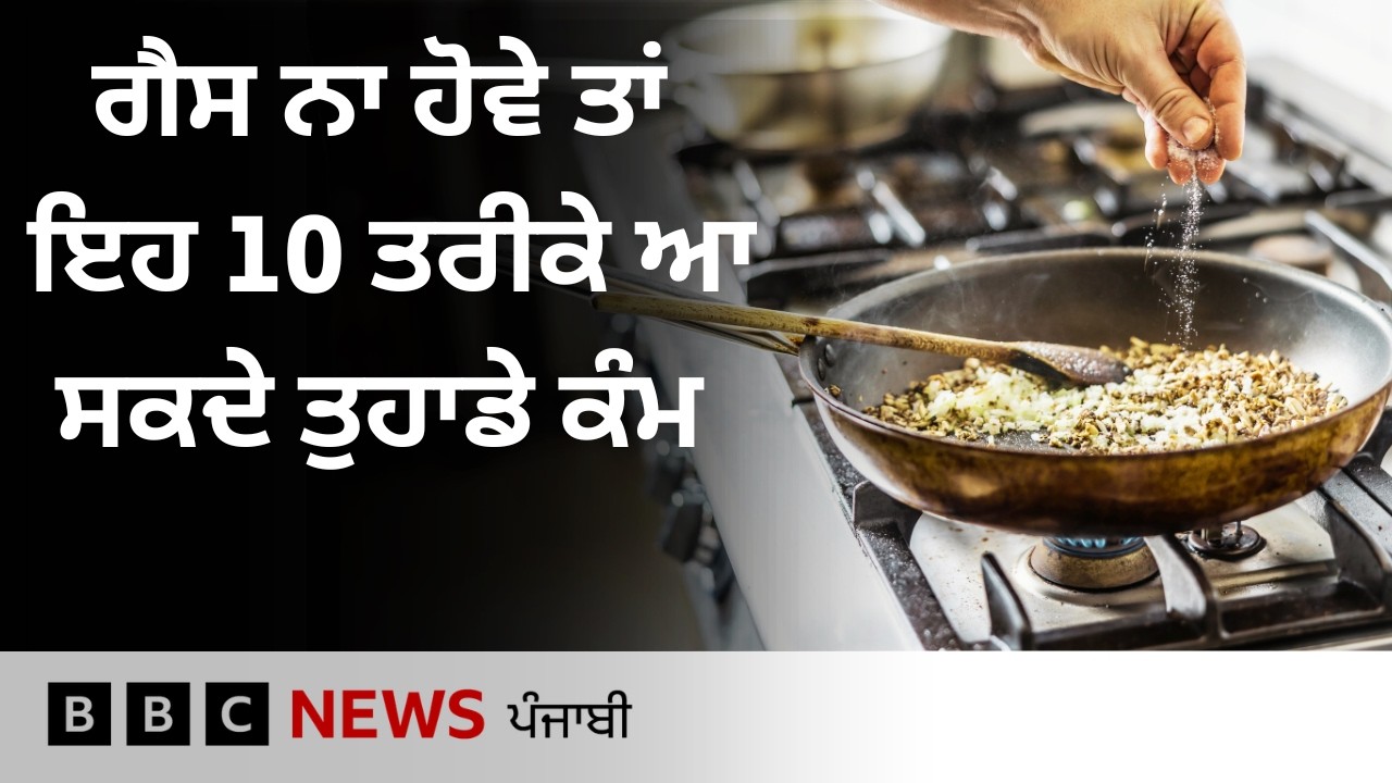 LPG Cylinder ਨਹੀਂ ਮਿਲ ਰਿਹਾ ਤਾਂ ਖਾਣਾ ਬਣਾਉਣ ਲਈ ਵਰਤ ਸਕਦੇ ਹੋ ਇਹ ਤਰੀਕੇ | BBC Punjabi