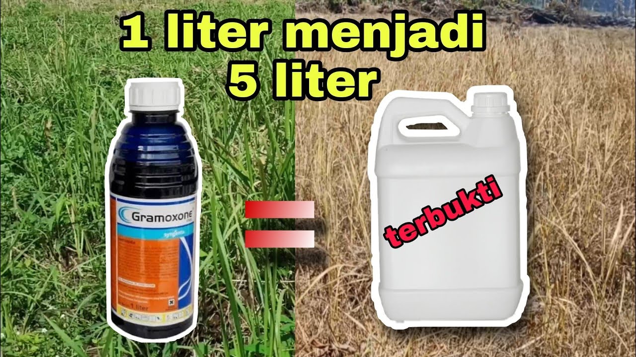 Cara memperbanyak herbisida kontak