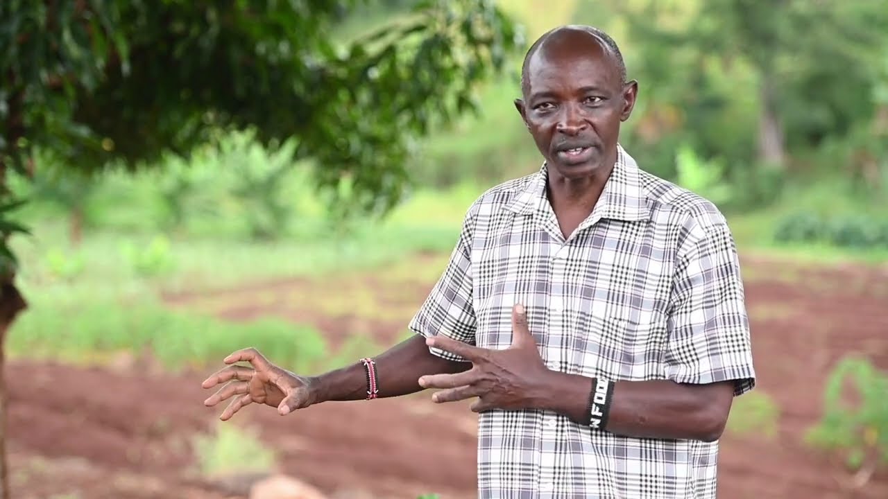 Organic weed management in Kenya - Yielder/FiBL/BvAT
