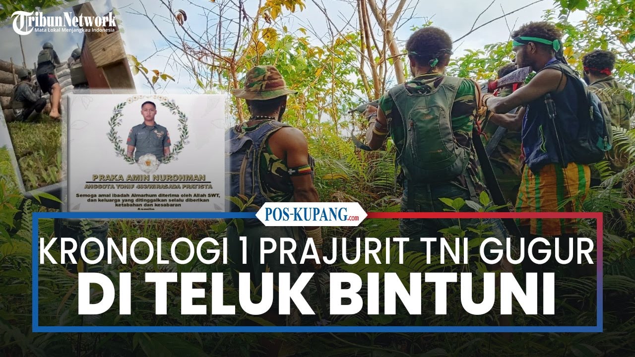Kronologi 1 Prajurit TNI Gugur dalam Kontak Senjata dengan KKB di Teluk Bintuni