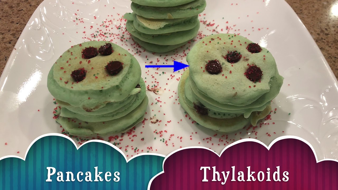 How to Make Thylakoid Pancakes in a Chloroplast Plate