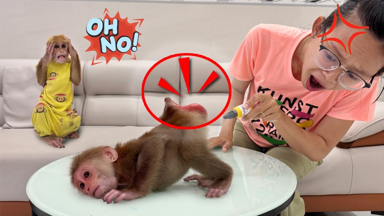 Sunny bursts into tears from the pain – Lucky panics and runs to call Mom!