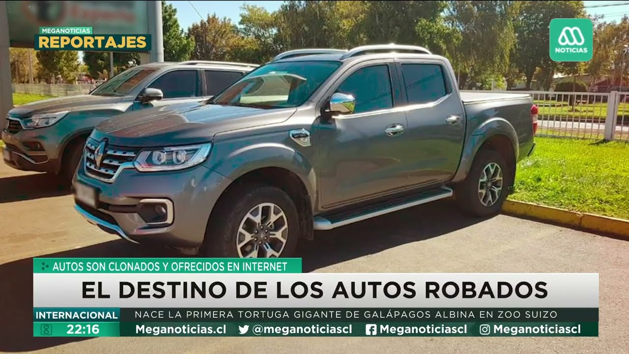 Los reducidores: El destino de los autos robados