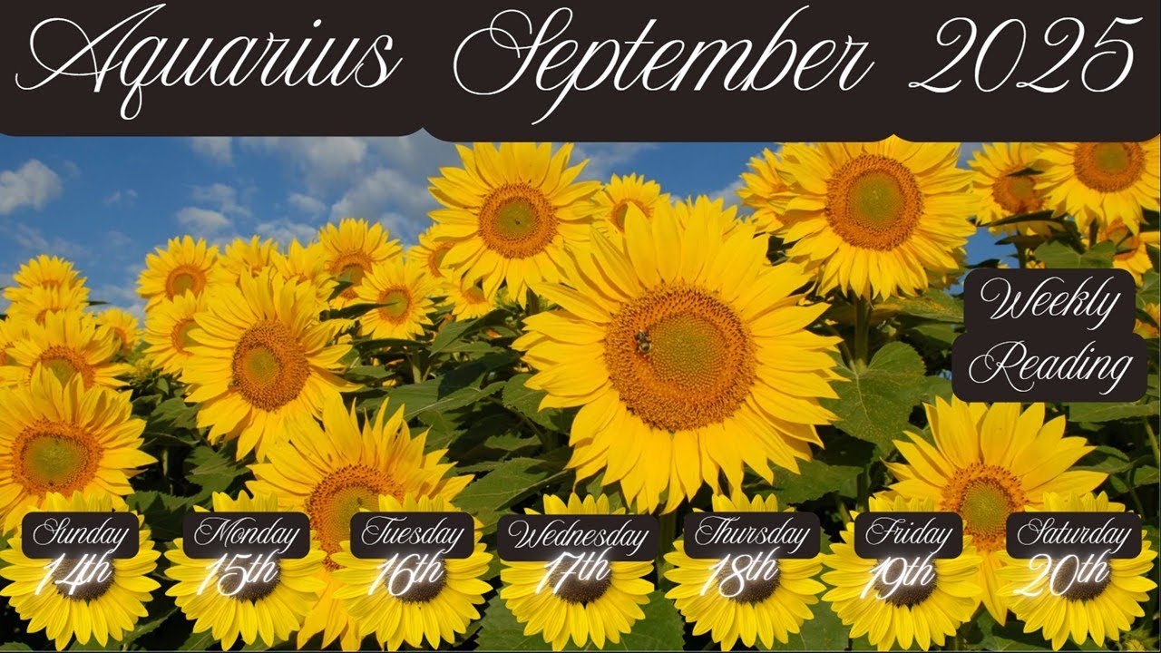 Aquarius🌻 A WONDERFUL SOULMATE CONNECTION IS COMING! 🤗🙏