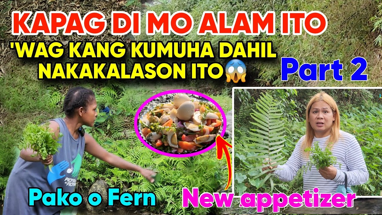 BUHAY PROBINSYA LIBRE ANG ULAM BASTA MASIPAG KA LANG MAGHANAP SA KAPALIGIRAN NG BUNDOK