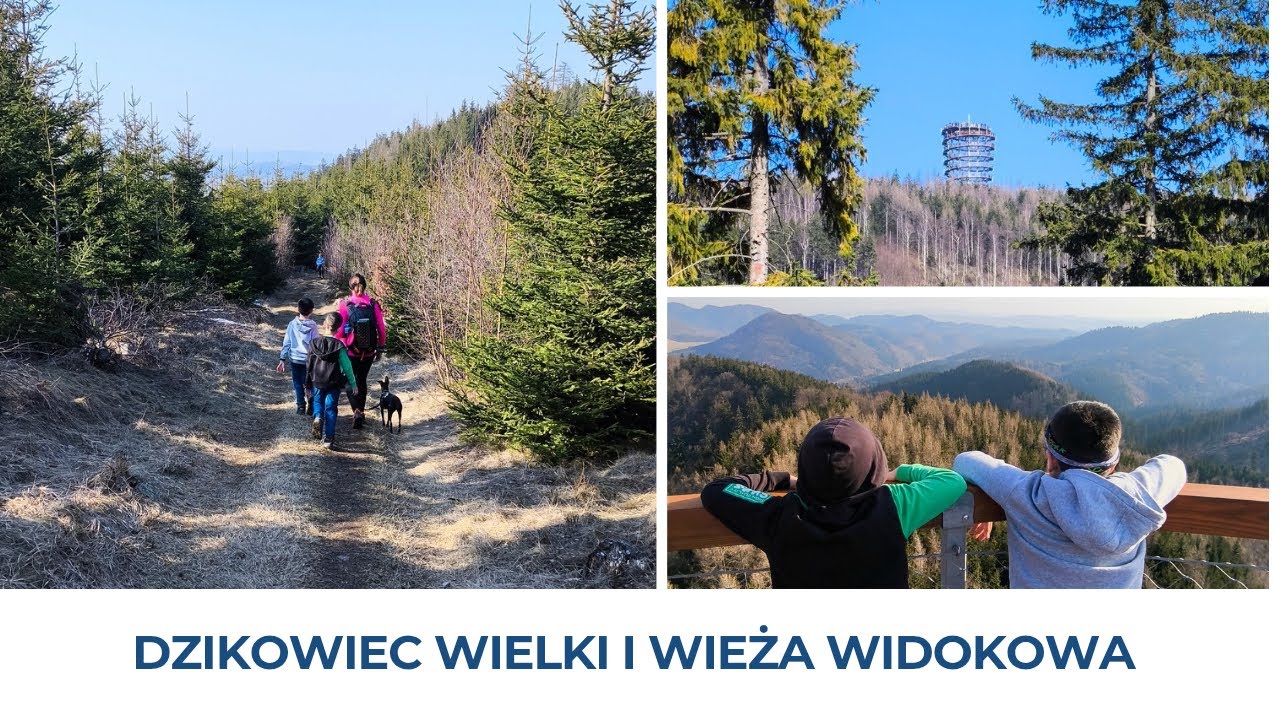 Dzikowiec Wielki i wieża widokowa | Lesista Mała i Wielka | Szlak z Unisławia Śląskiego