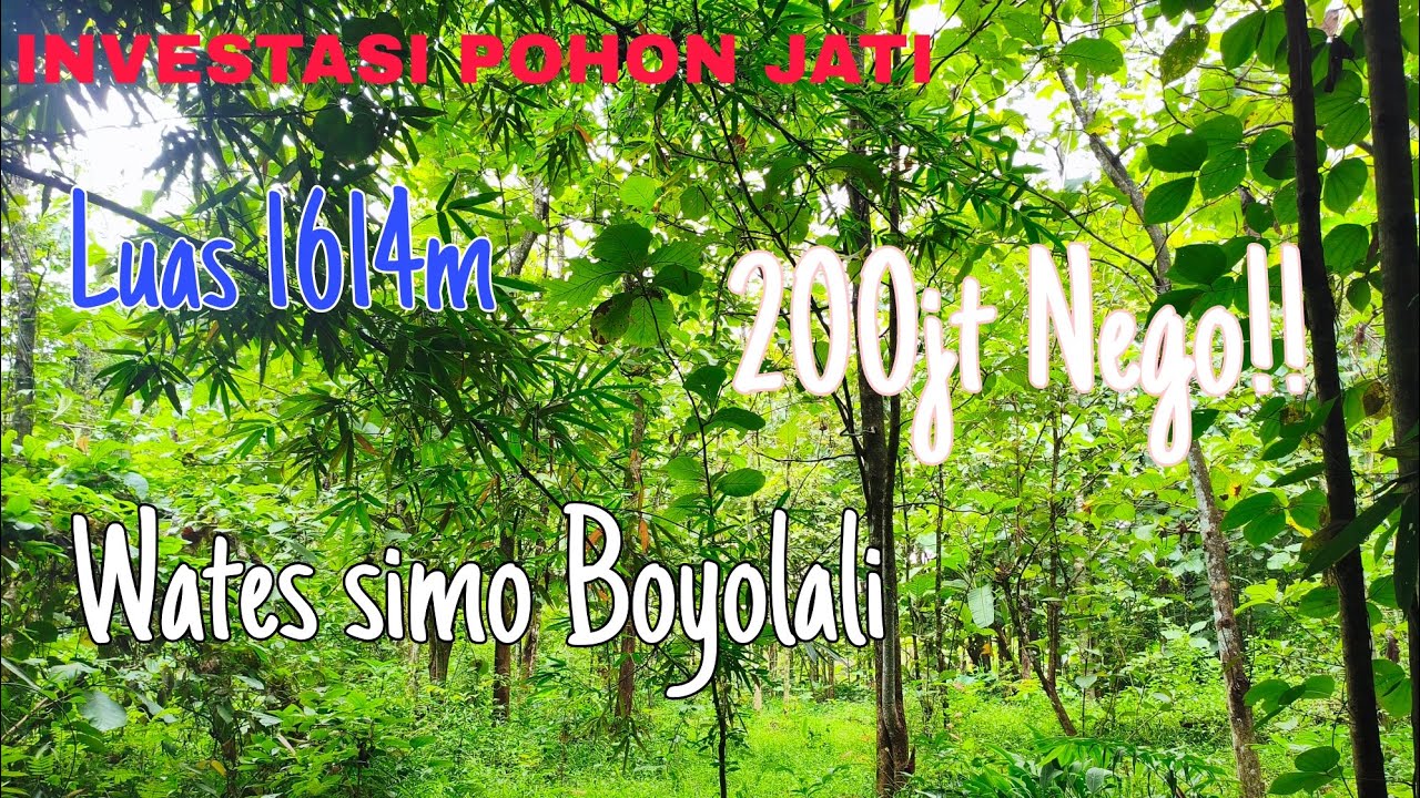 TANAH MURAH WATES SIMO BOYOLALI