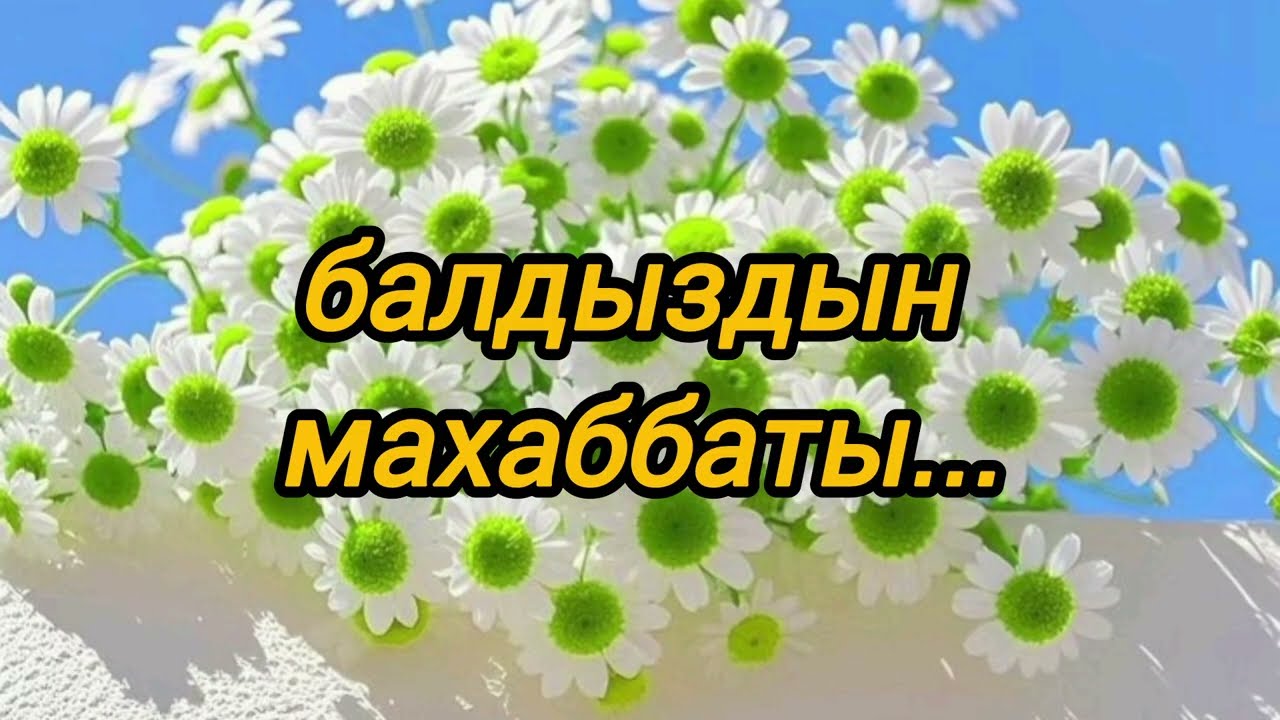 Балдыздын махаббаты...