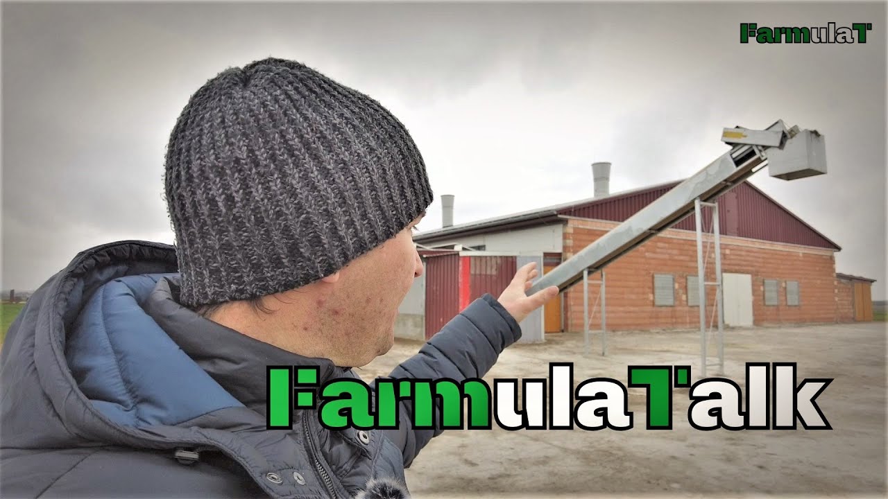 Zweites Standbein Legehennenhaltung? #FarmulaT