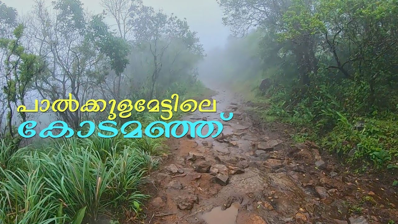 പാൽക്കുളമേട്, Idukki - Best for Offroad and trekking.