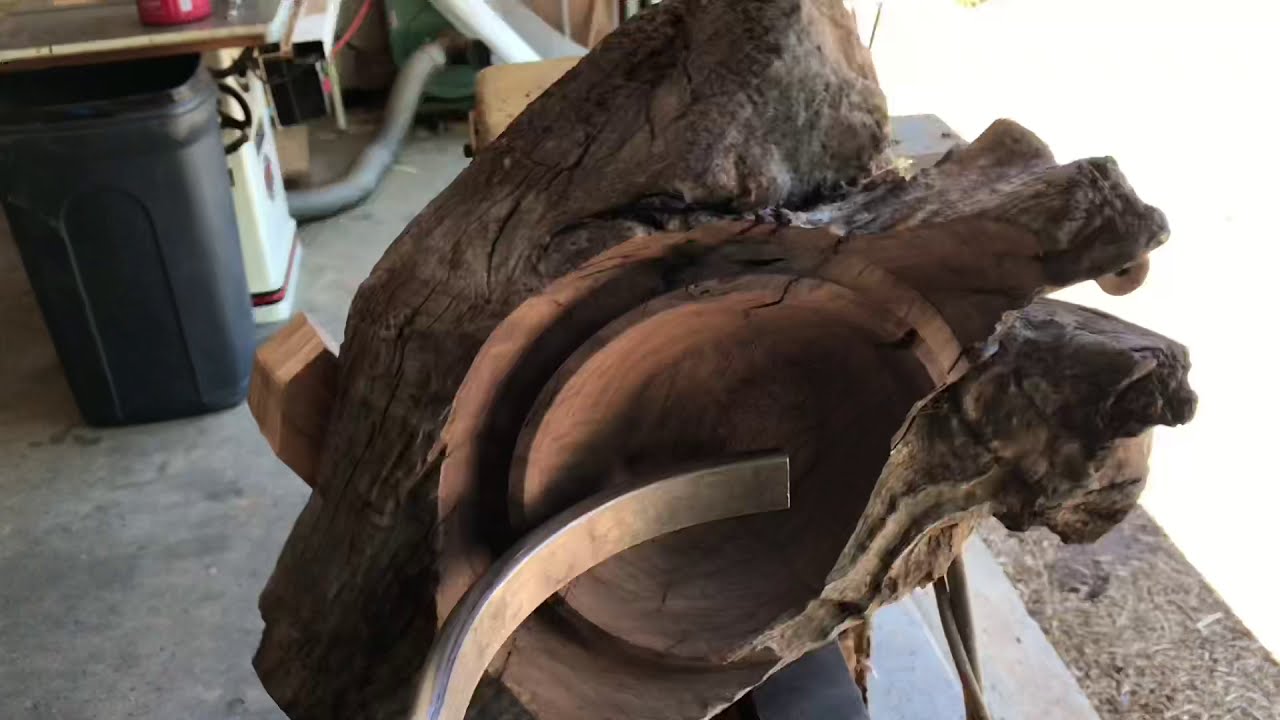 Wood-turning Black walnut Driftwood