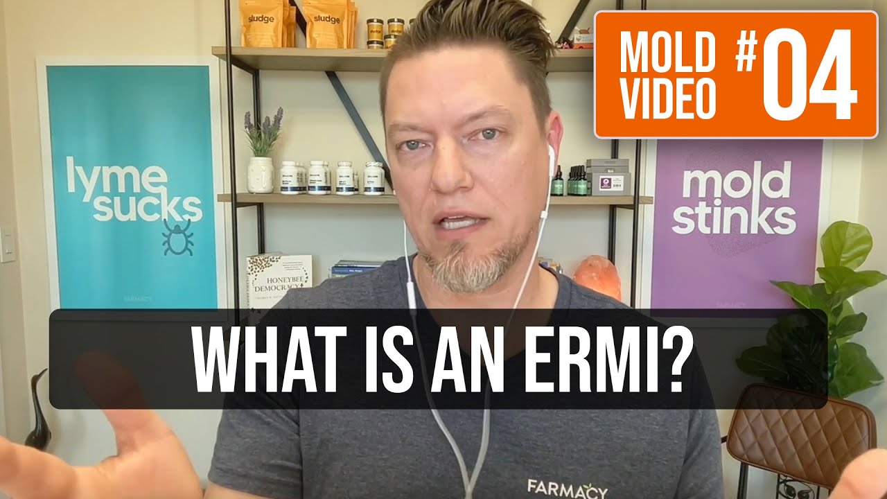 What is an ERMI?