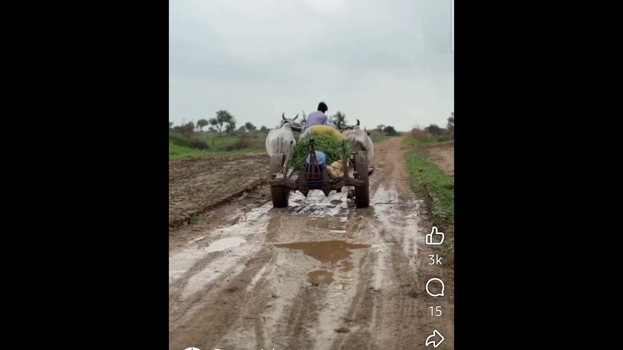 Tharparkar 