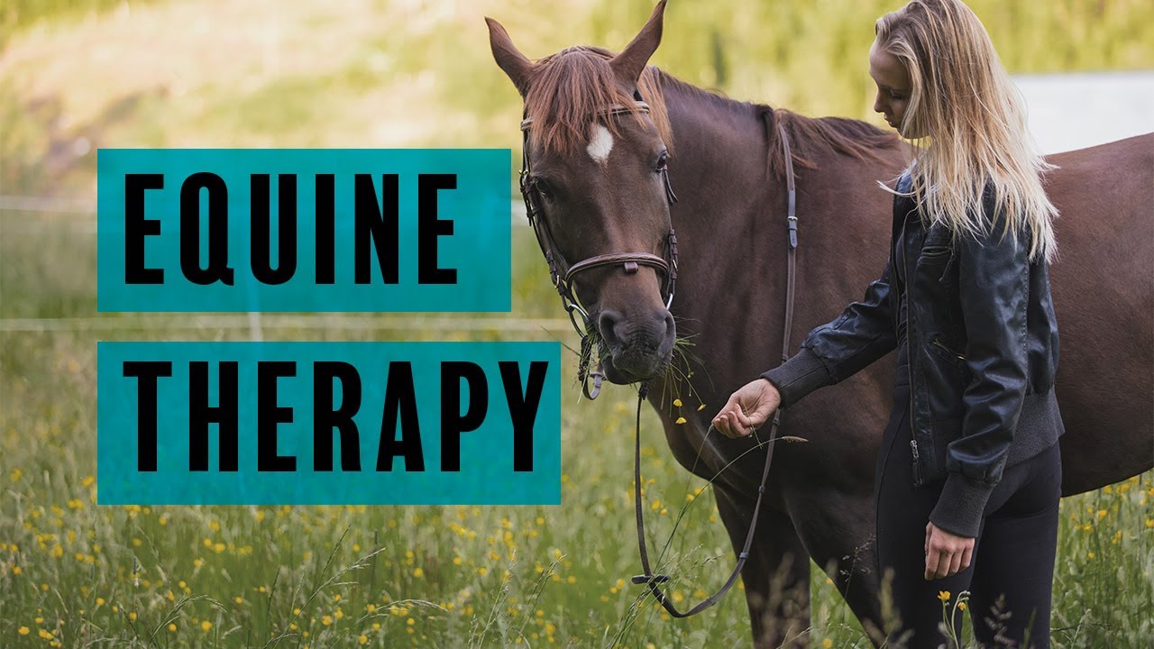 🐴 Equine Therapy for Trauma ✅