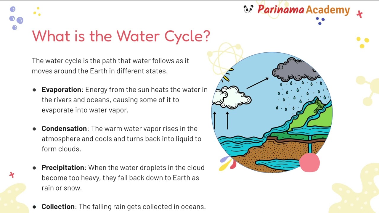 Water Cycle