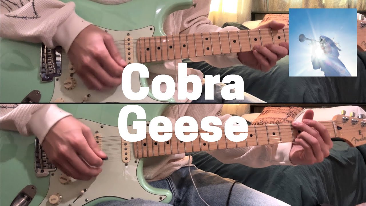 Geese - Cobra (Guitar Cover)