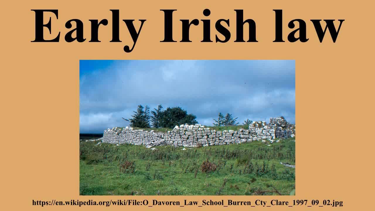 Early Irish law