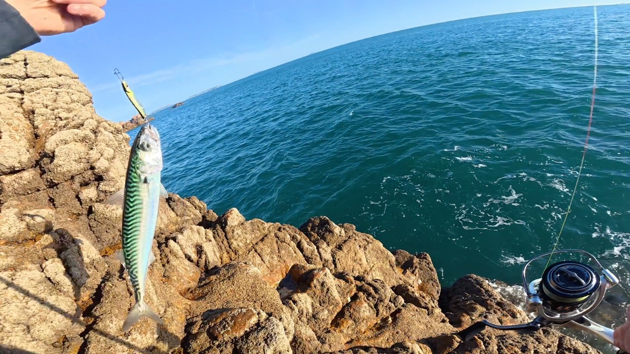 Malgré le vent, quelques poissons au jig 🎣 | Pêche du maquereau du bord