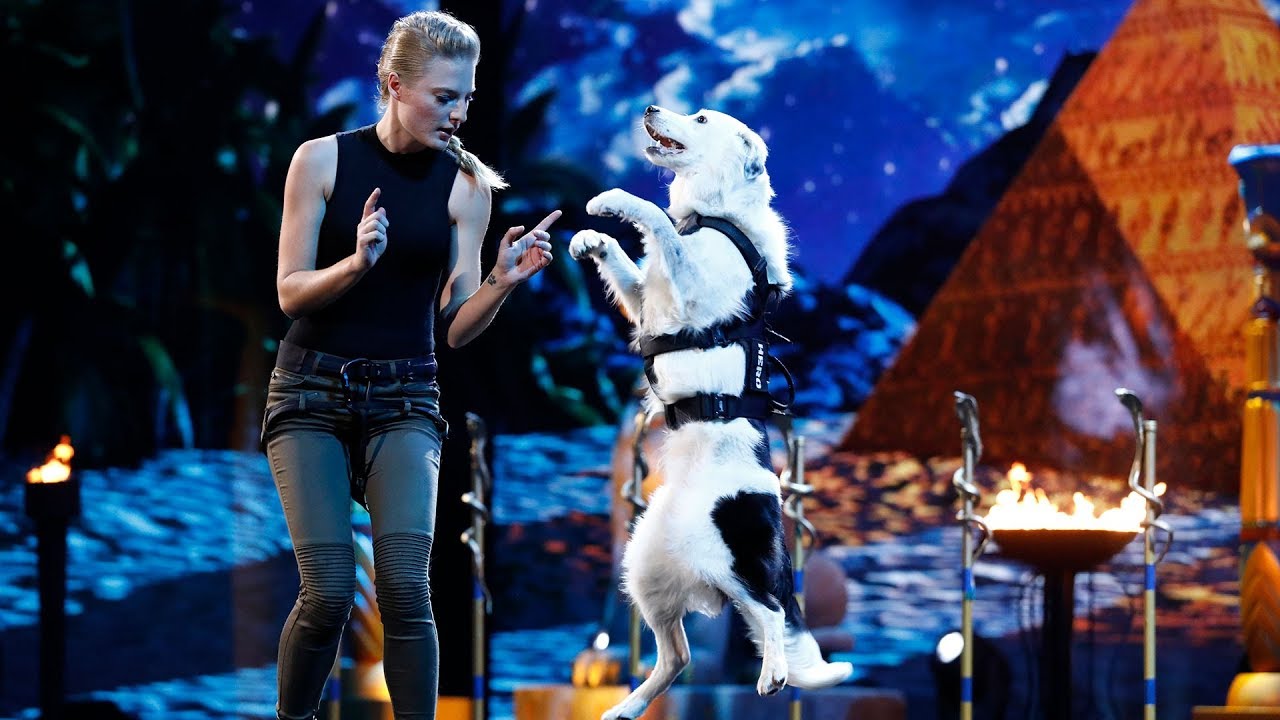 Sara and Hero  Dogs And Trainer Deliver Incredible Tricks   America's Got Talent 2017