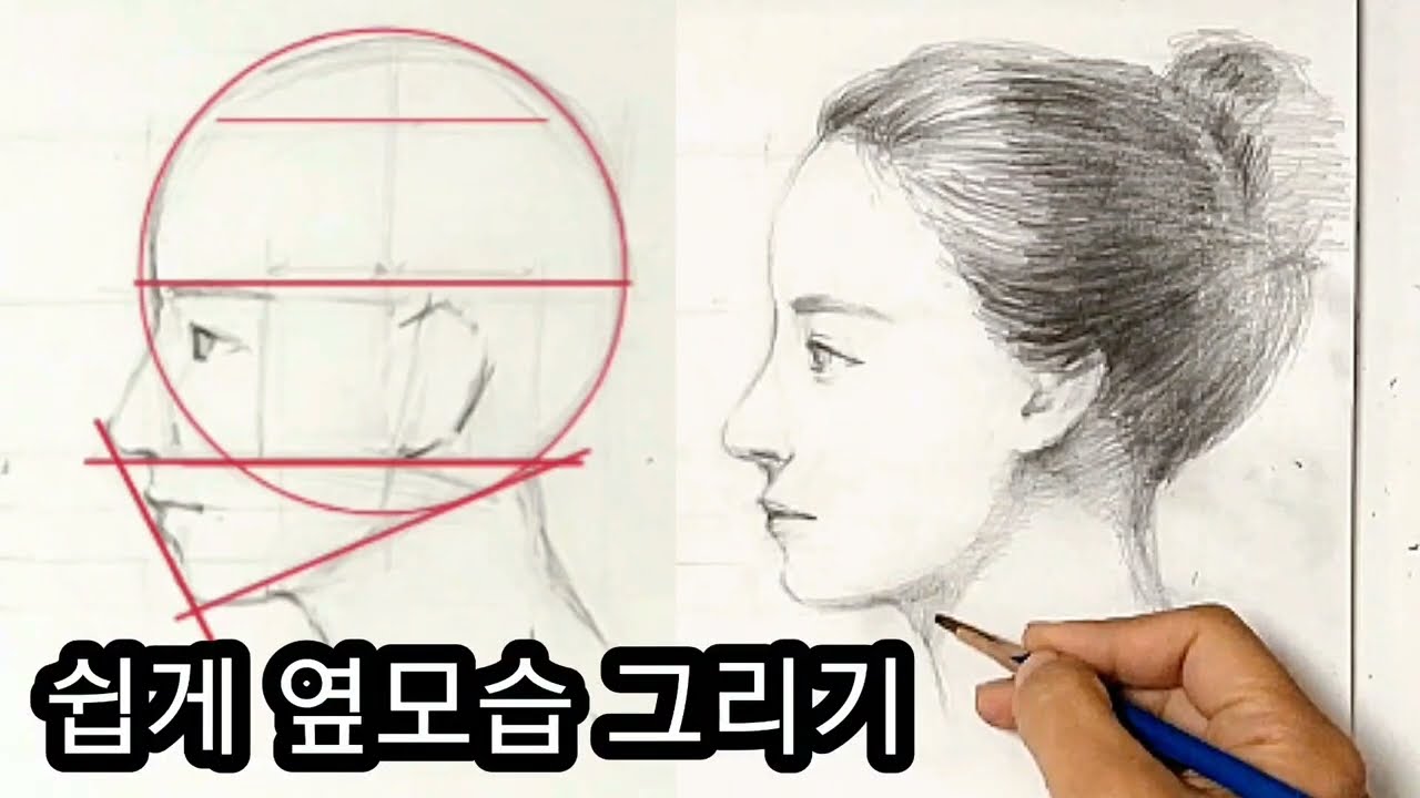 쉽게 옆모습그리기/비율만 알면 쉬워요 /측면얼굴 그리기  /옆얼굴모양 /facedrawing