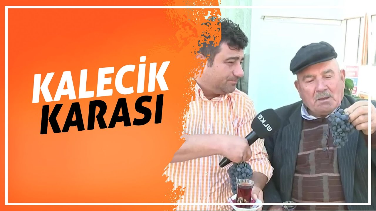 Meşhur Kalecik Üzümü 🍇🍇 | En İyisi Gezmek