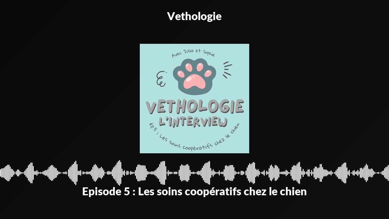 Episode 5 : Les soins coopératifs chez le chien