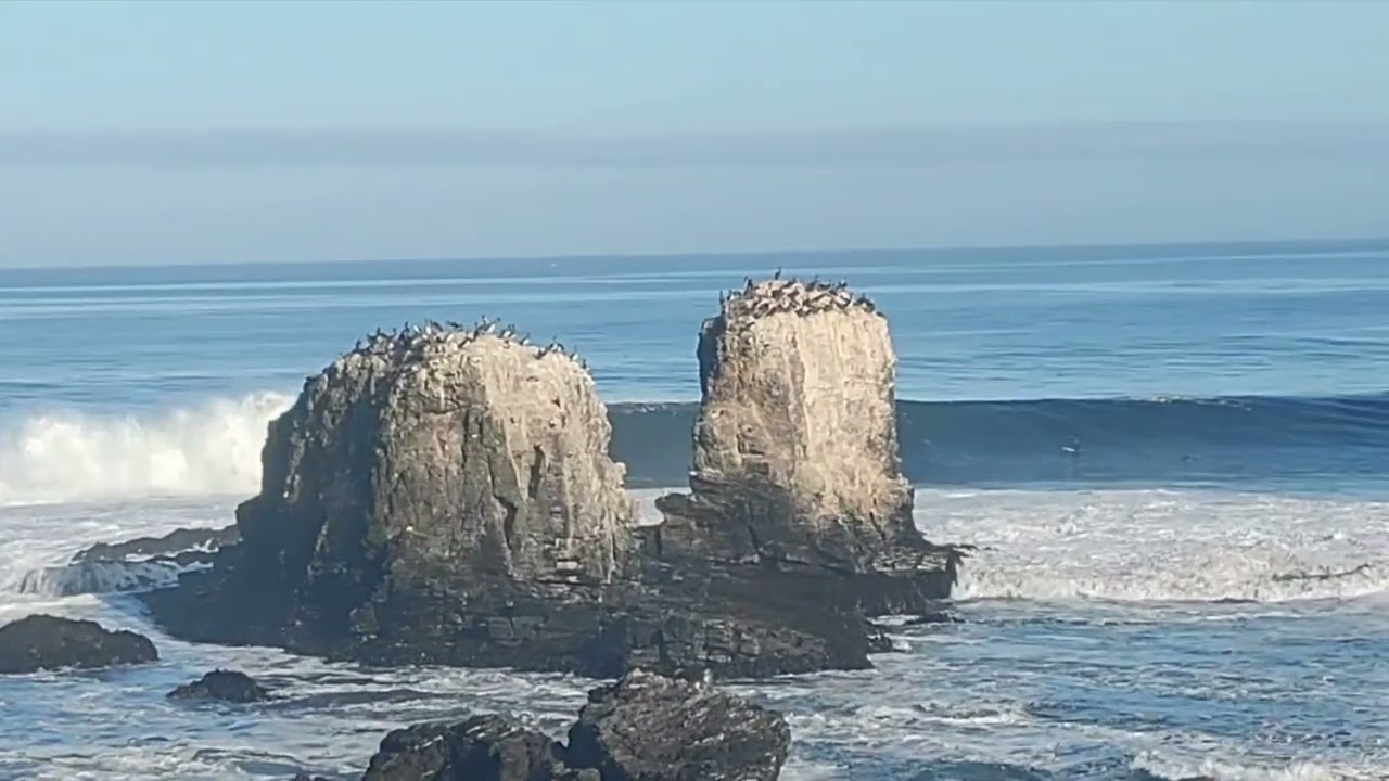 El tubo del mes: Tomás Mekis largo y profundo en Punta de Lobos