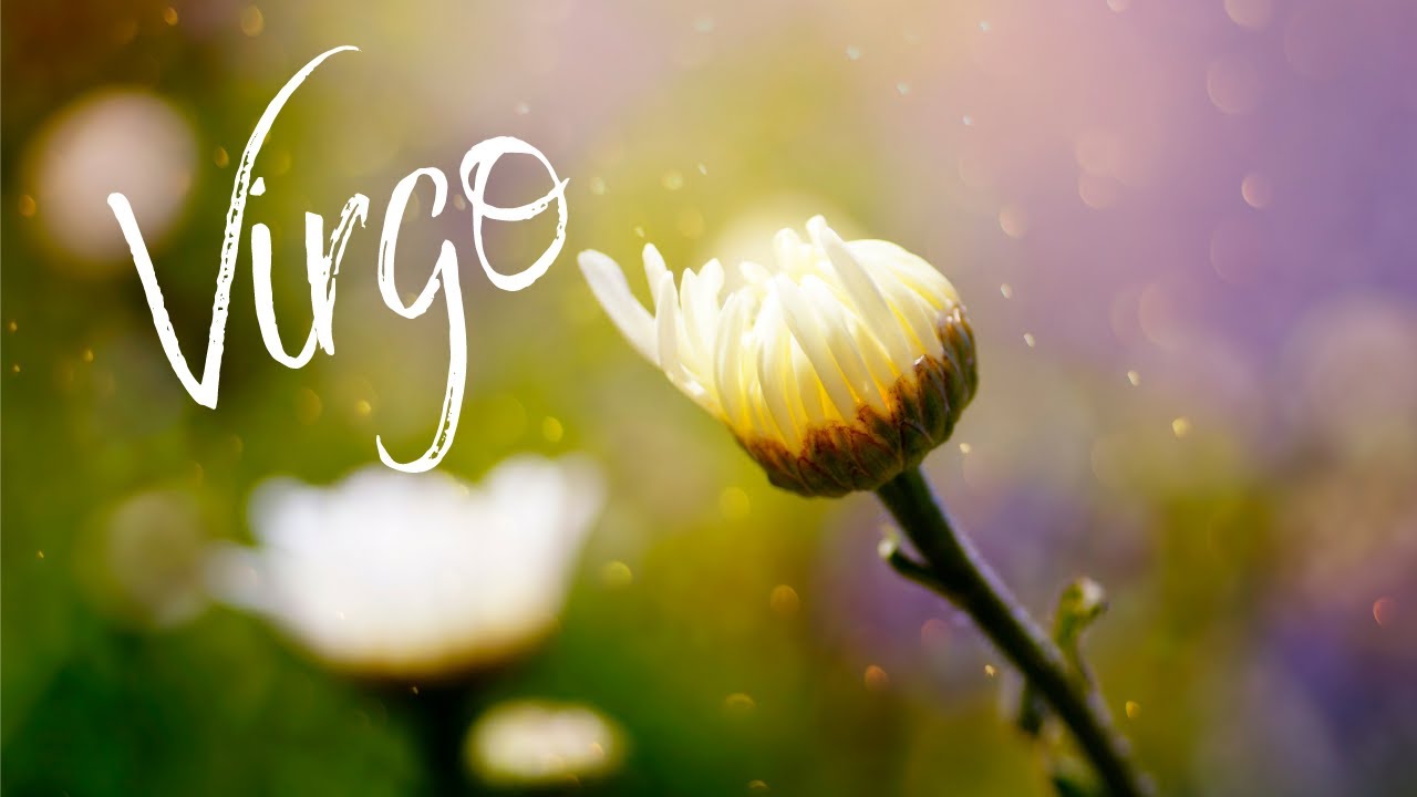 Virgo🌿Wow! Ready For Round Two? Big Decisions!🌿Energy Check In