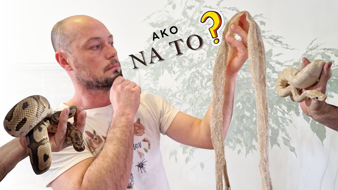 Zvliekanie hada, alebo čo všetko by som mal vedieť o zvleku - #03  [SK/CZ]